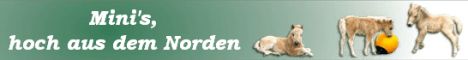 Minipferdchen von Bertringa