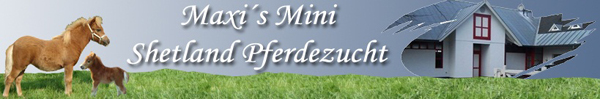 www.maxis-minis.de
