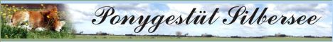 Ponygest�t Silbersee